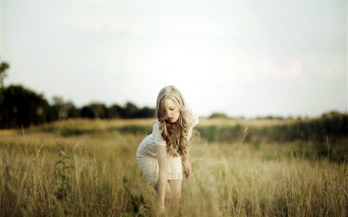 Chica rubia, hierba, verano Fondos de pantalla, imagen