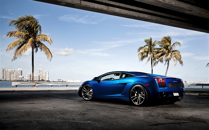 Supercoche de Lamborghini azul, palmeras Fondos de pantalla, imagen