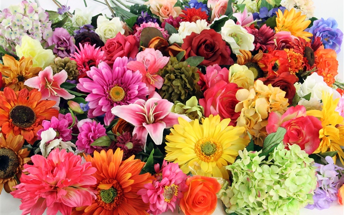Diversas flores coloridas de las clases Fondos de pantalla, imagen