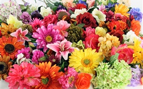 Diversas flores coloridas de las clases