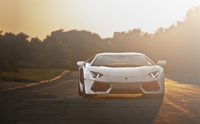 Lamborghini blanco Supercar vista frontal, luz del sol Fondos de pantalla, imagen