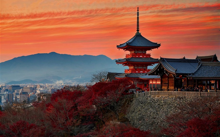 Japón, Kioto, templo, otoño, anochecer Fondos de pantalla, imagen