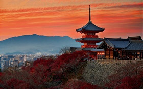 Japón, Kioto, templo, otoño, anochecer