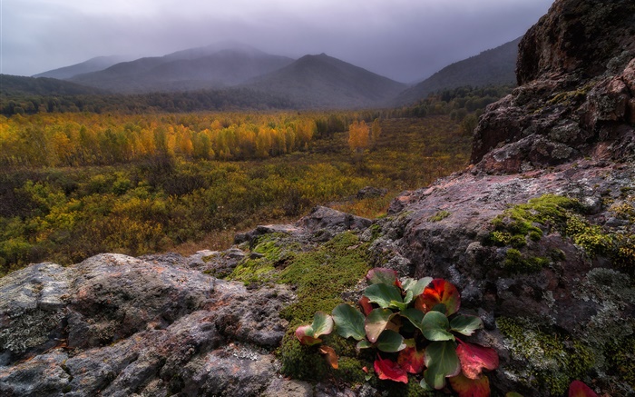 Montañas, niebla, piedras, bosque, otoño Fondos de pantalla, imagen
