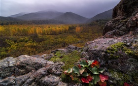 Montañas, niebla, piedras, bosque, otoño HD fondos de pantalla