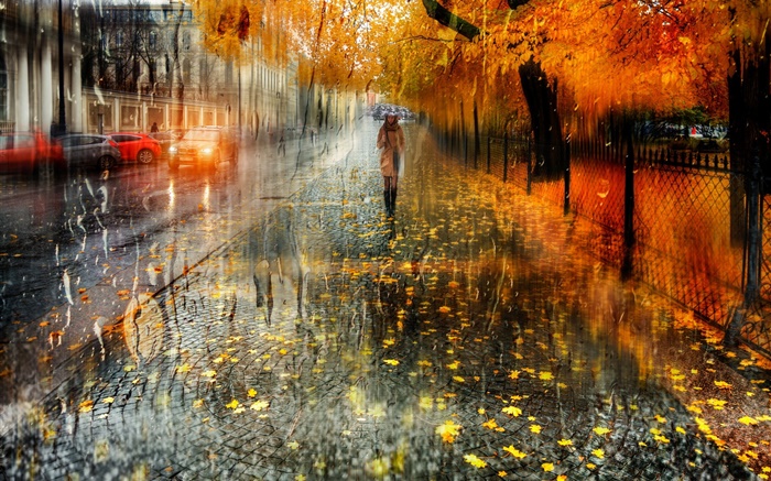 Otoño, ciudad, lluvia, árboles, niña, camino, autos. Fondos de pantalla, imagen