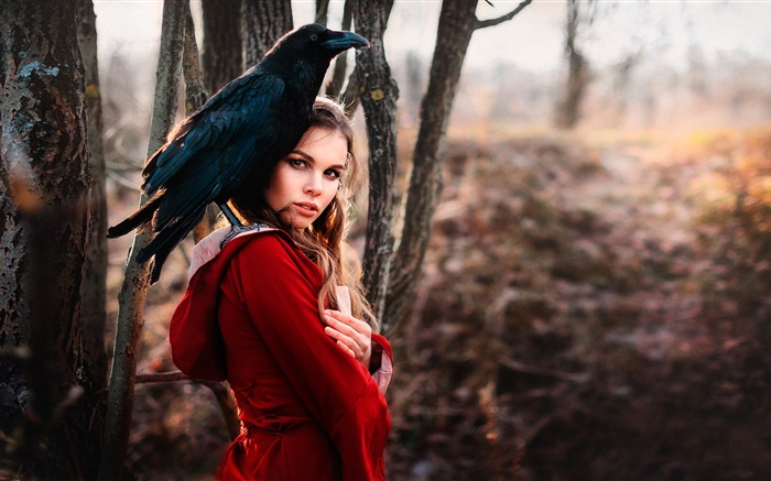Chica de vestido rojo, cuervo Fondos de pantalla, imagen